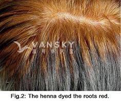 250318111120_Hair-Dying with henna-s.jpg